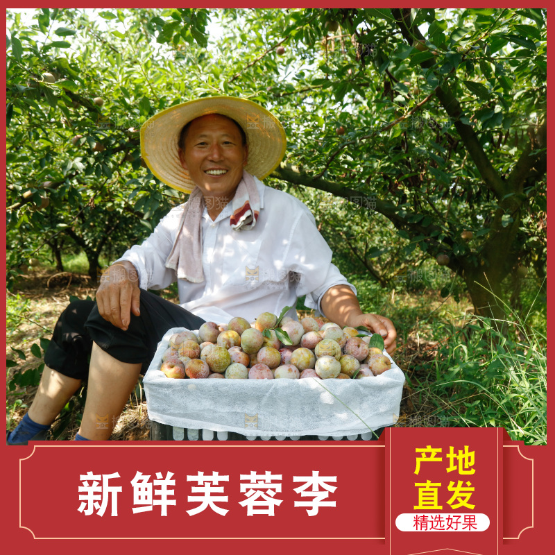 手里拿着芙蓉李