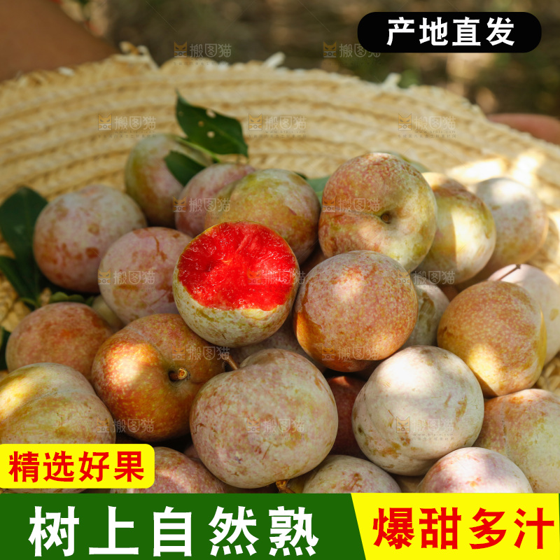手里拿着芙蓉李