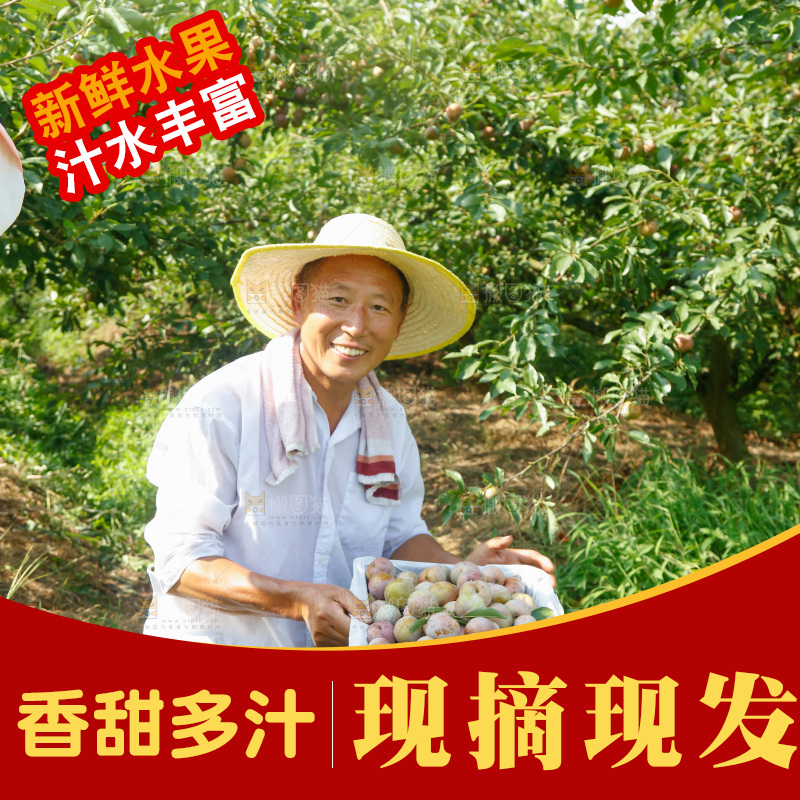 手里拿着芙蓉李