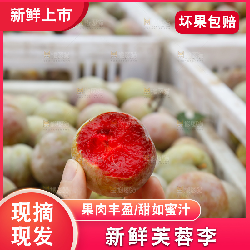手里拿着芙蓉李