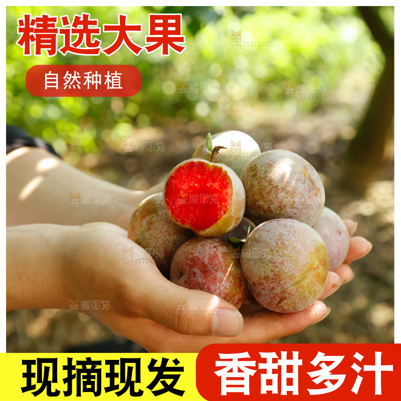 手里拿着芙蓉李