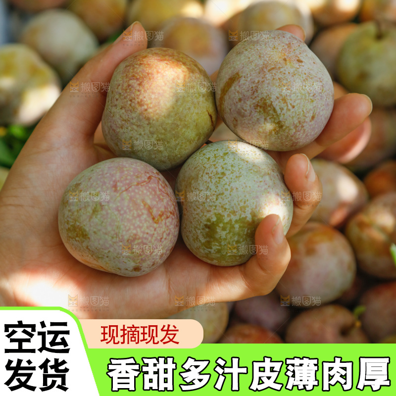 地上放着的现摘芙蓉李