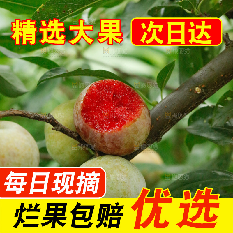 树上的新鲜芙蓉李
