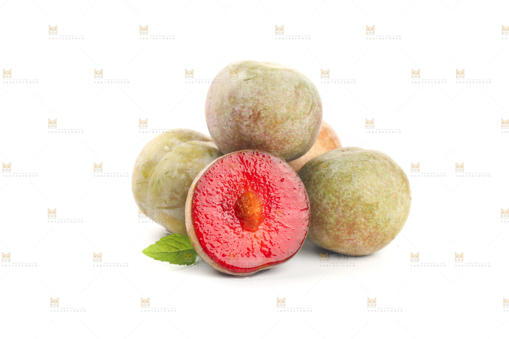 白底上的芙蓉李