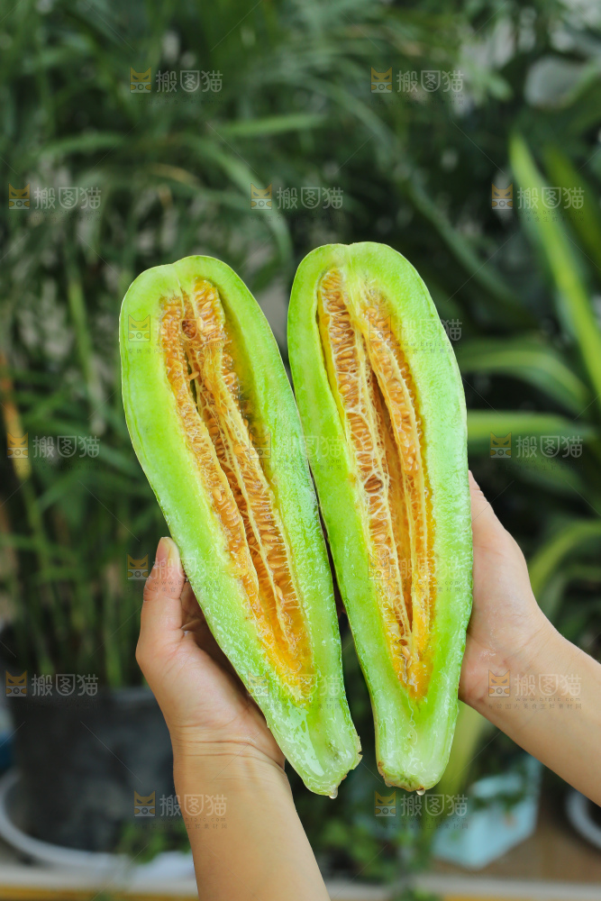 手里拿着羊角蜜甜瓜