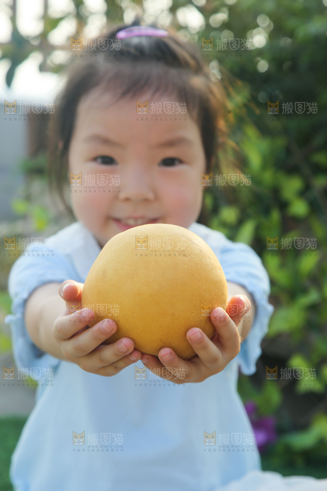 手里拿着秋月梨