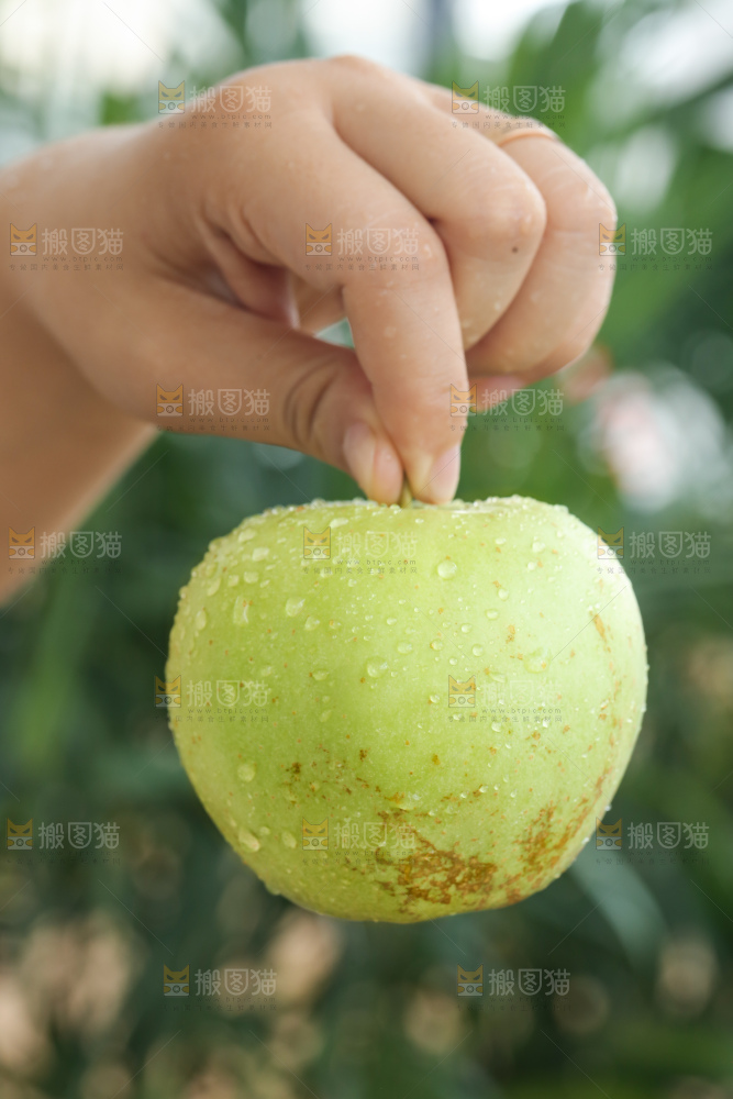 手里拿着金帅青苹果
