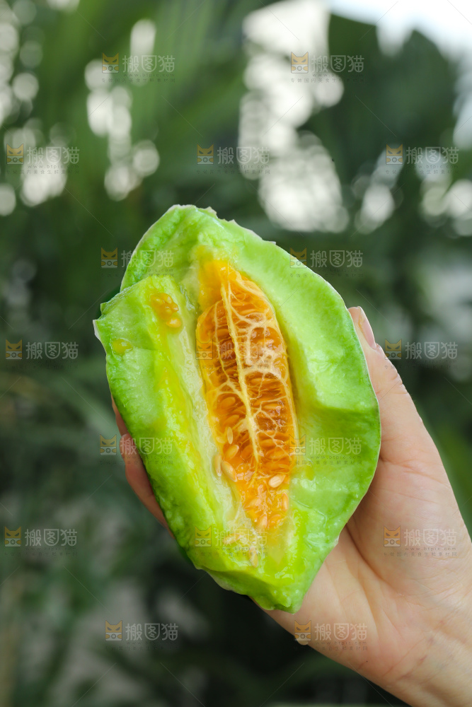 手里拿着羊角蜜甜瓜