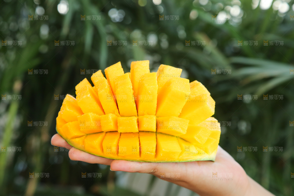 手里拿着凯特芒