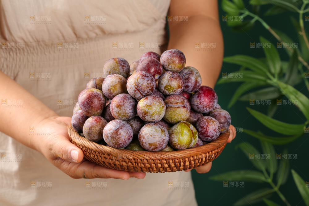 木底上的红脆李