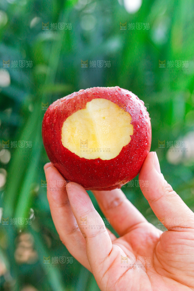 手里拿着红露苹果
