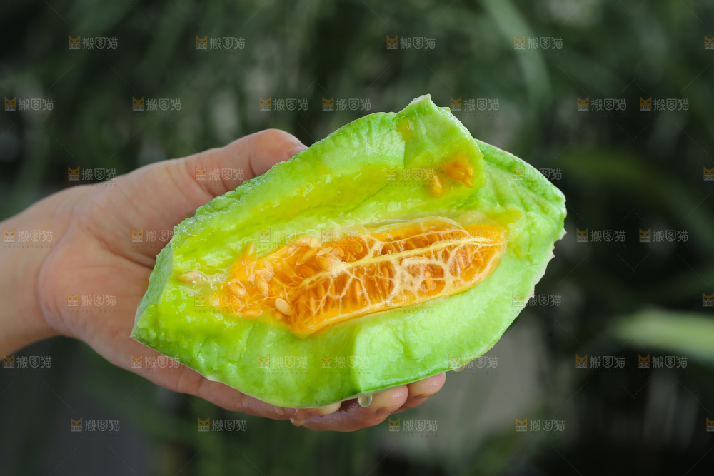 手里拿着羊角蜜甜瓜