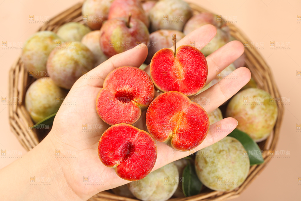 浅底上的芙蓉李