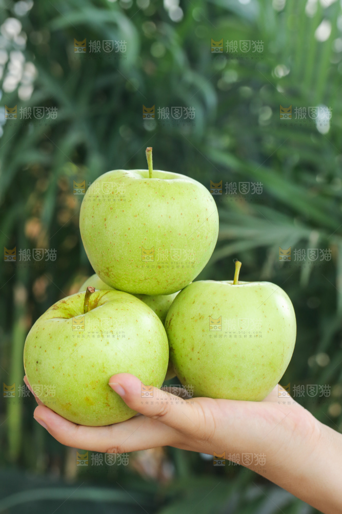 手里拿着金帅青苹果