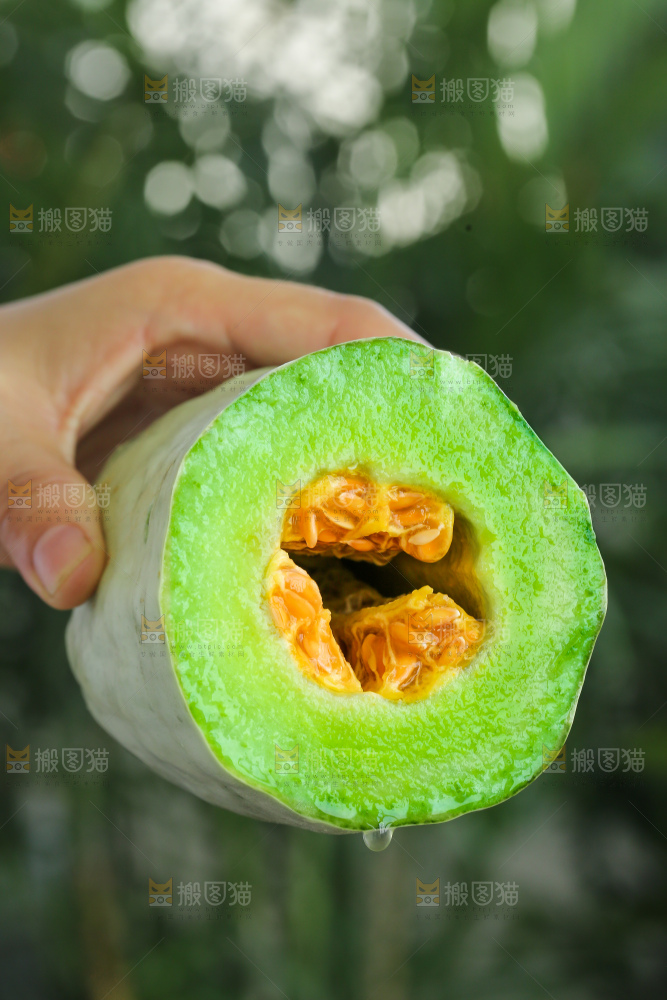 手里拿着羊角蜜甜瓜