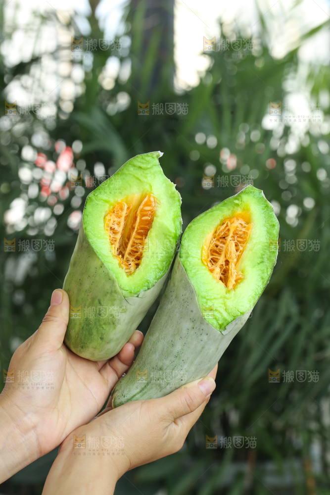 手里拿着羊角蜜甜瓜