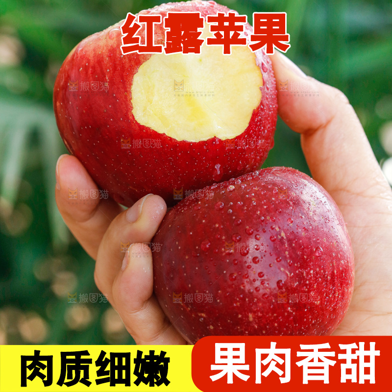 手里拿着红露苹果