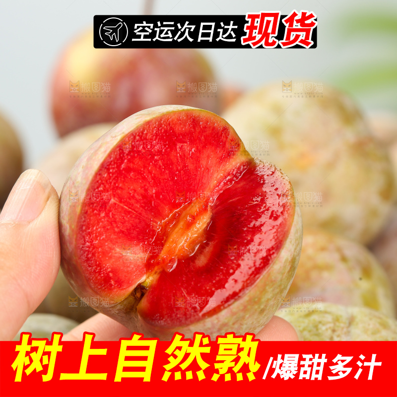 浅底上的芙蓉李