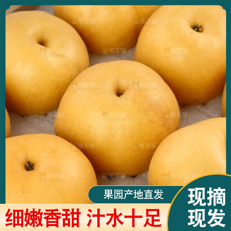浅底上的一盒秋月梨