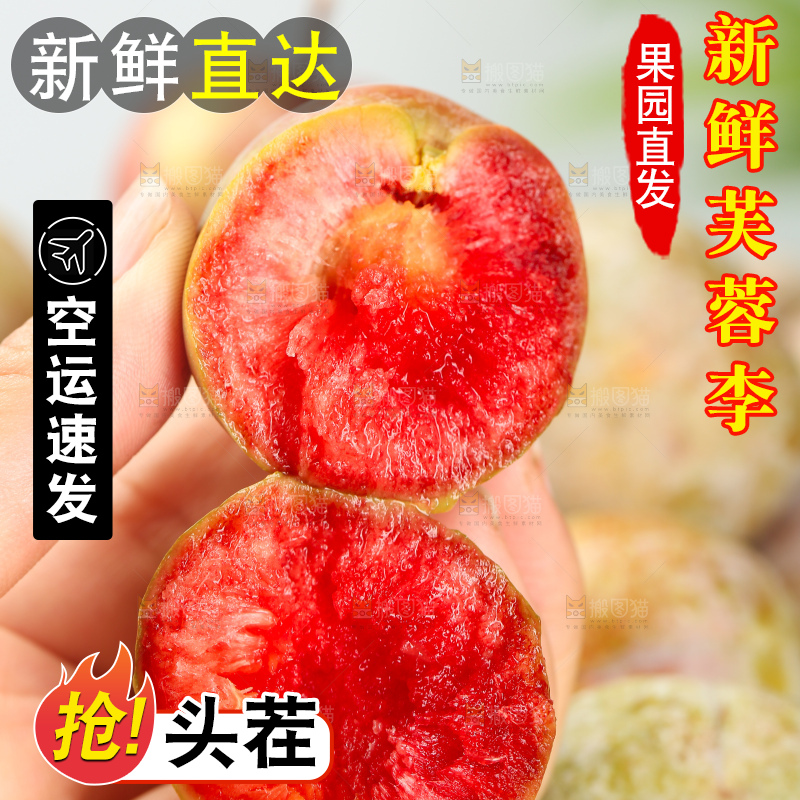 浅底上的芙蓉李
