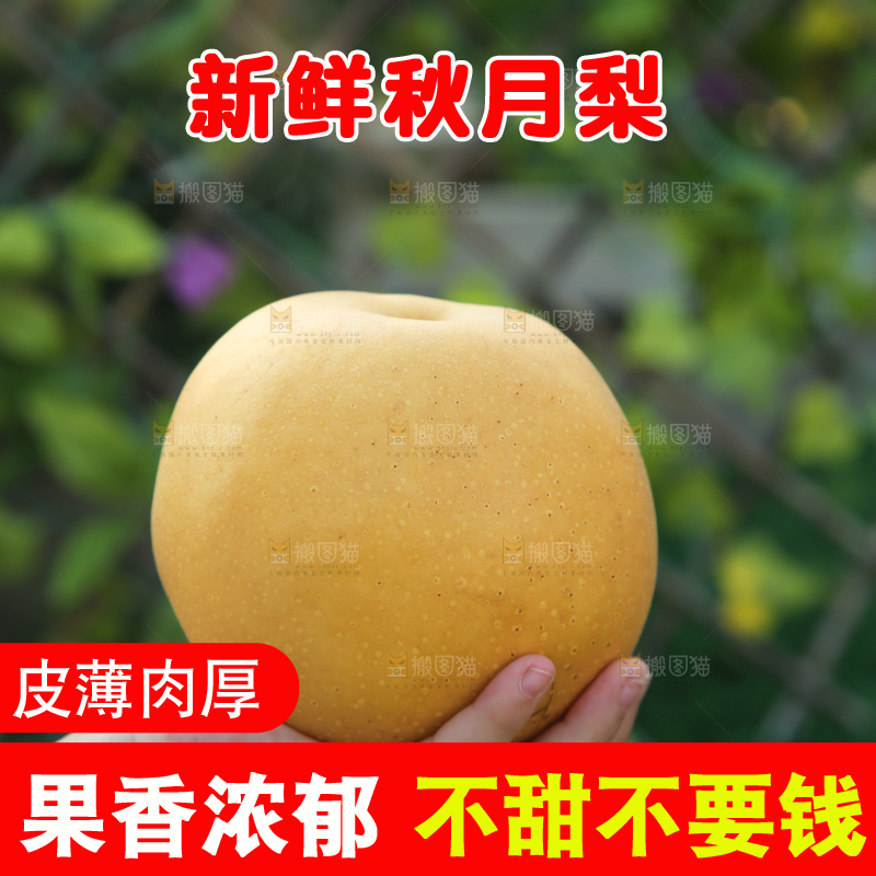 手里拿着秋月梨