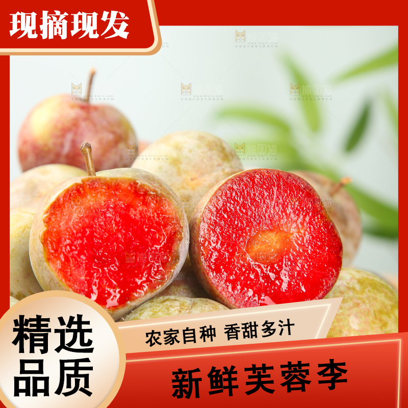 浅底上的芙蓉李