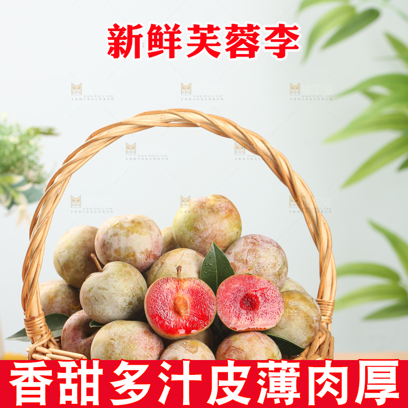 浅底上的芙蓉李