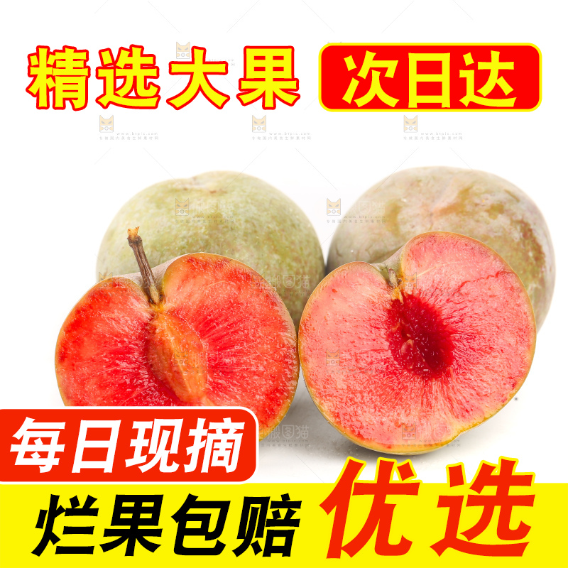 白底上的芙蓉李