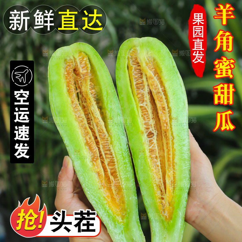 手里拿着羊角蜜甜瓜
