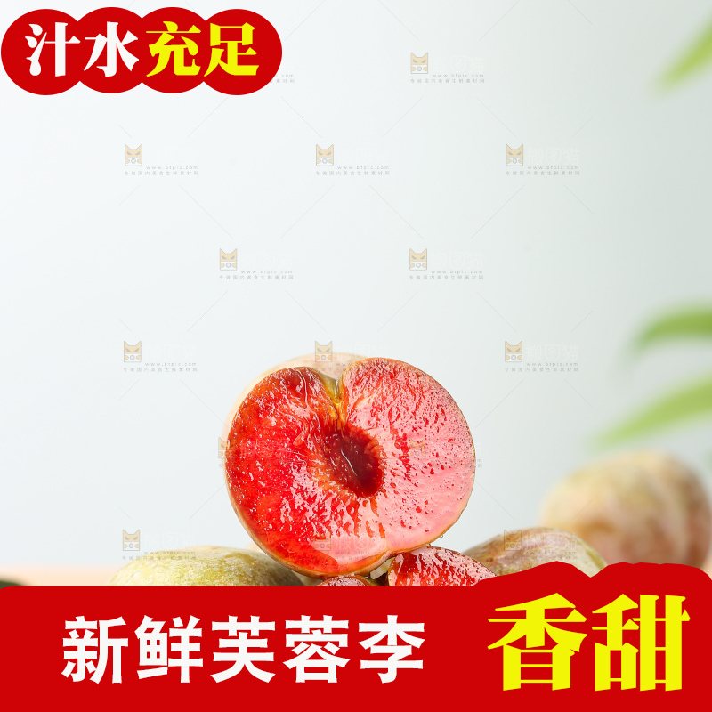 浅底上的芙蓉李