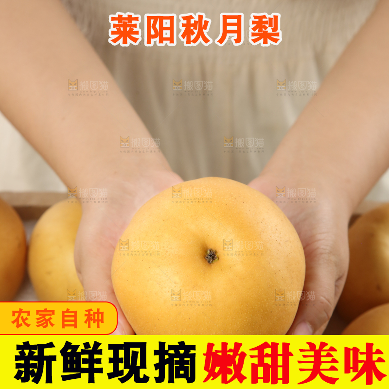 浅底上的一盒秋月梨