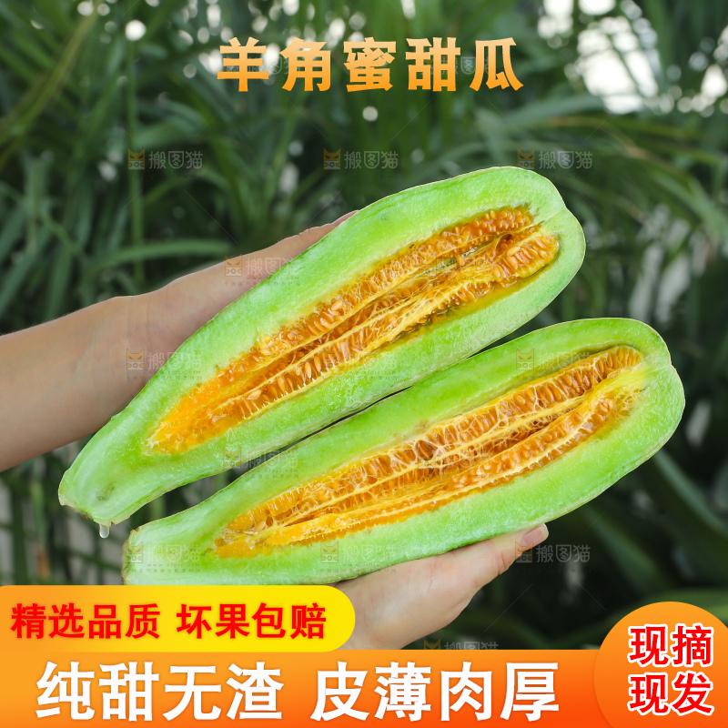 手里拿着羊角蜜甜瓜