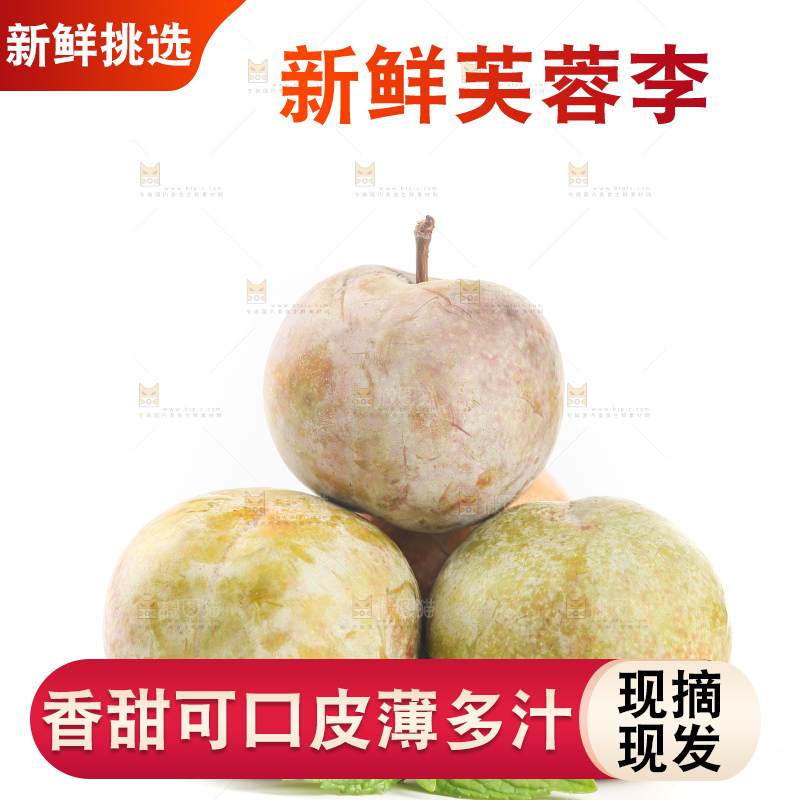 白底上的芙蓉李