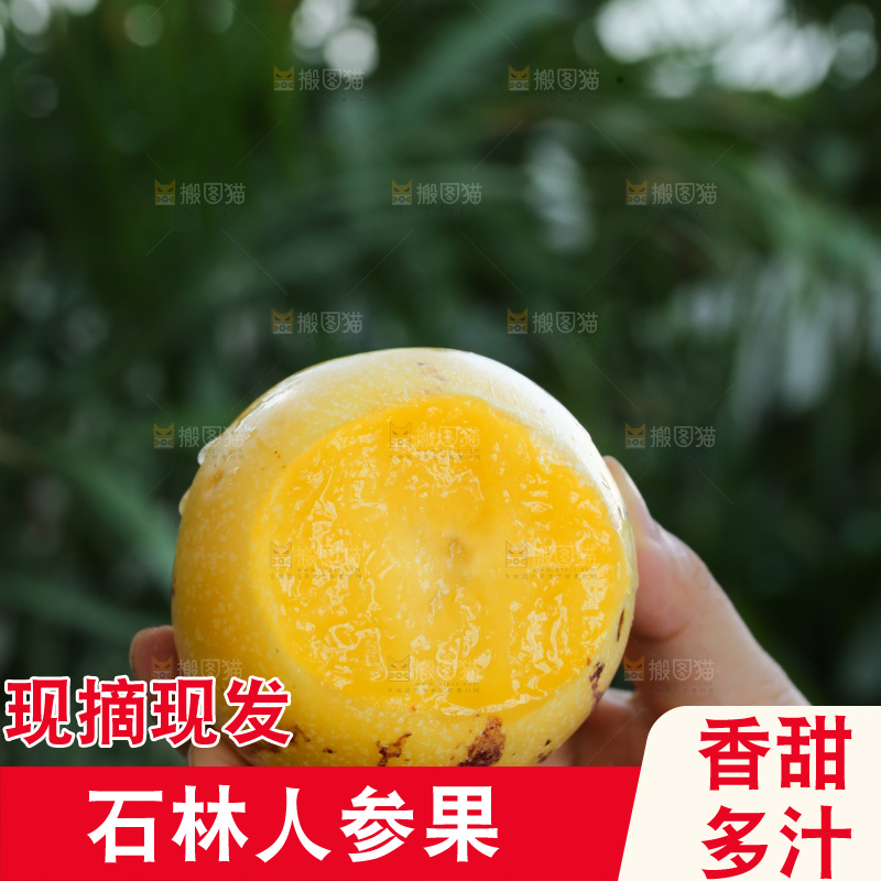 手里拿着石林人参果