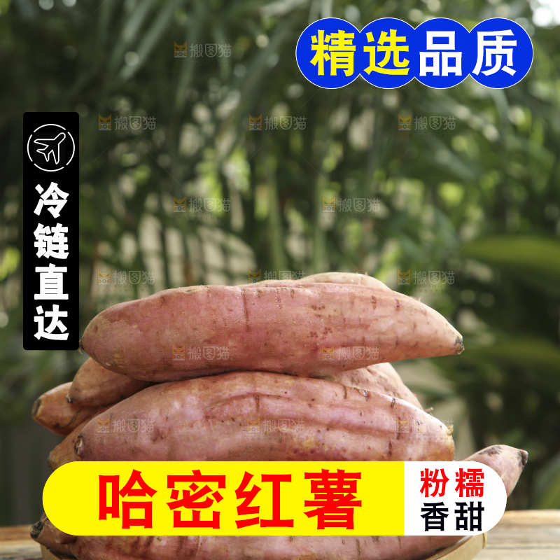 木底上的哈密冰糖薯
