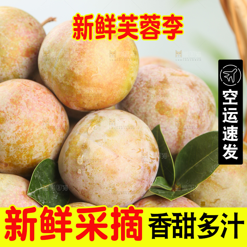 浅底上的芙蓉李