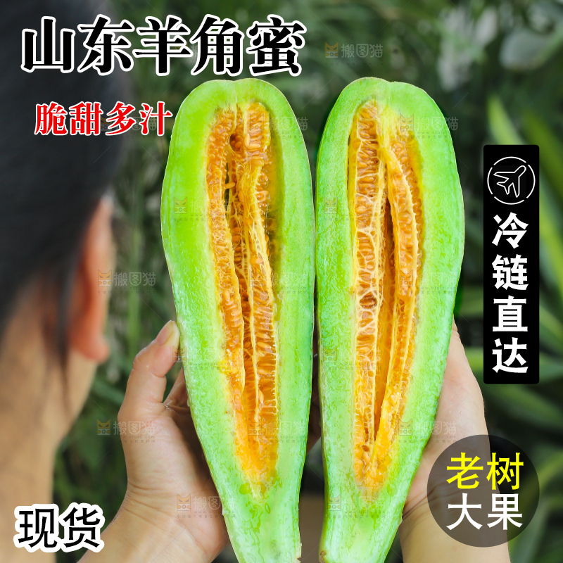 手里拿着羊角蜜甜瓜
