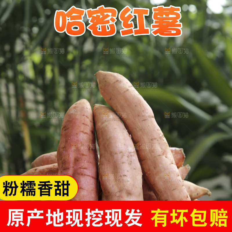 木底上的哈密冰糖薯