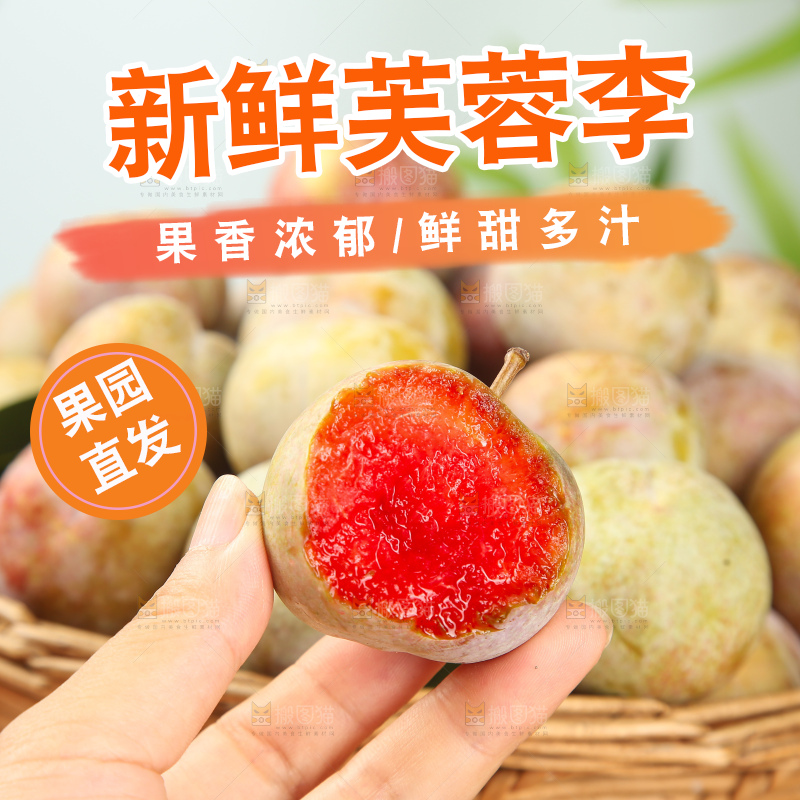 浅底上的芙蓉李