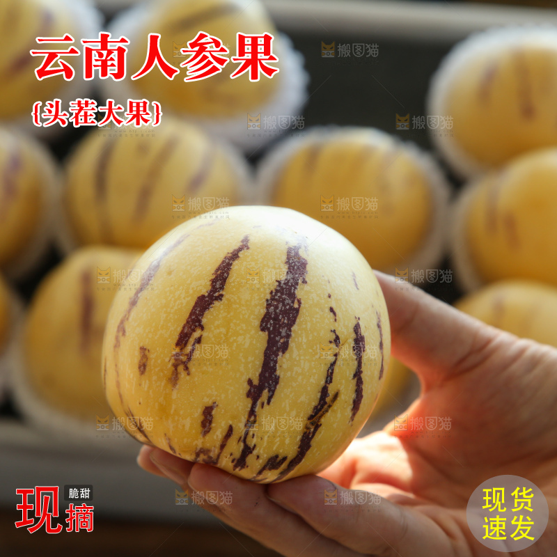 木底上的石林人参果