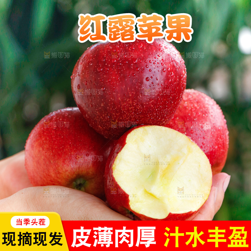 手里拿着红露苹果
