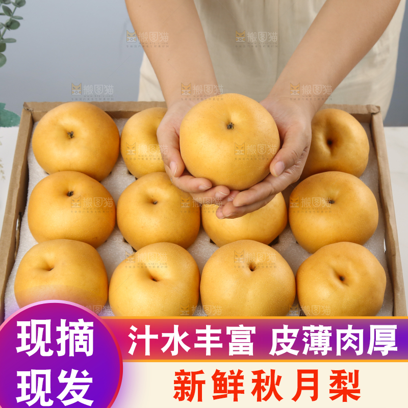 浅底上的一盒秋月梨