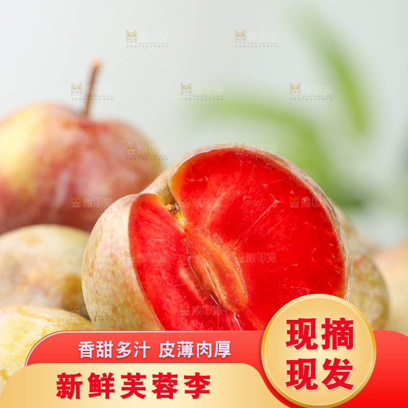 浅底上的芙蓉李