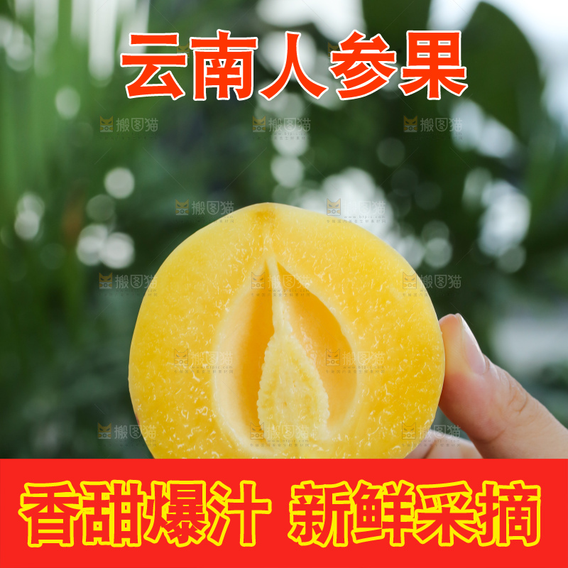 手里拿着石林人参果