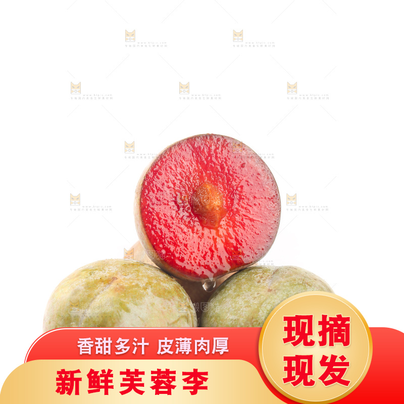 白底上的芙蓉李