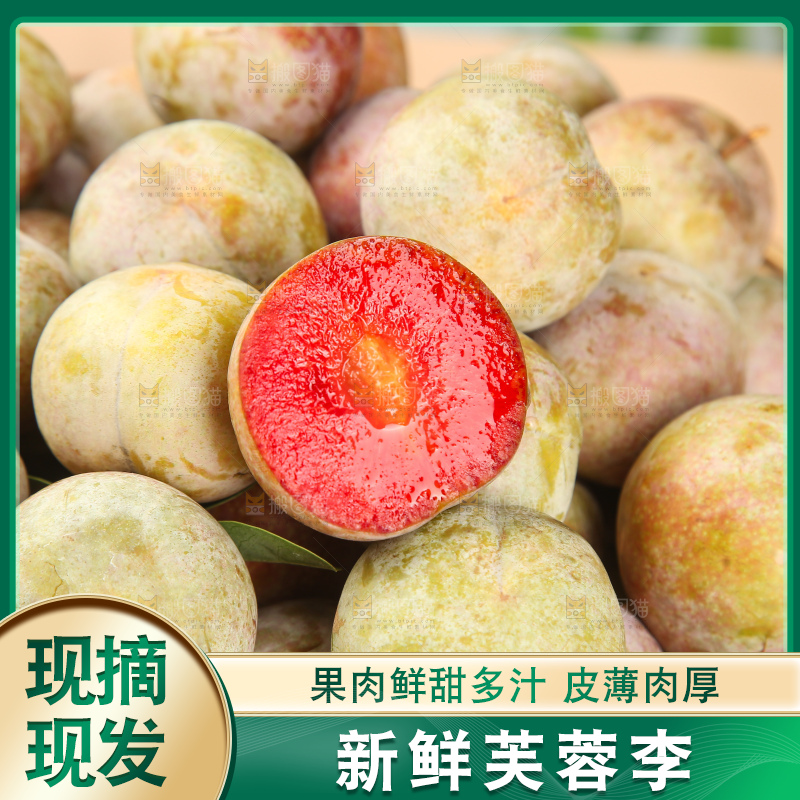 浅底上的芙蓉李
