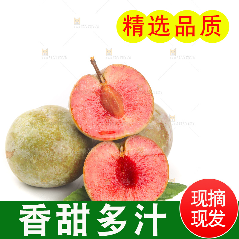 白底上的芙蓉李
