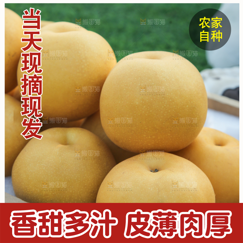 深底上的一盒秋月梨