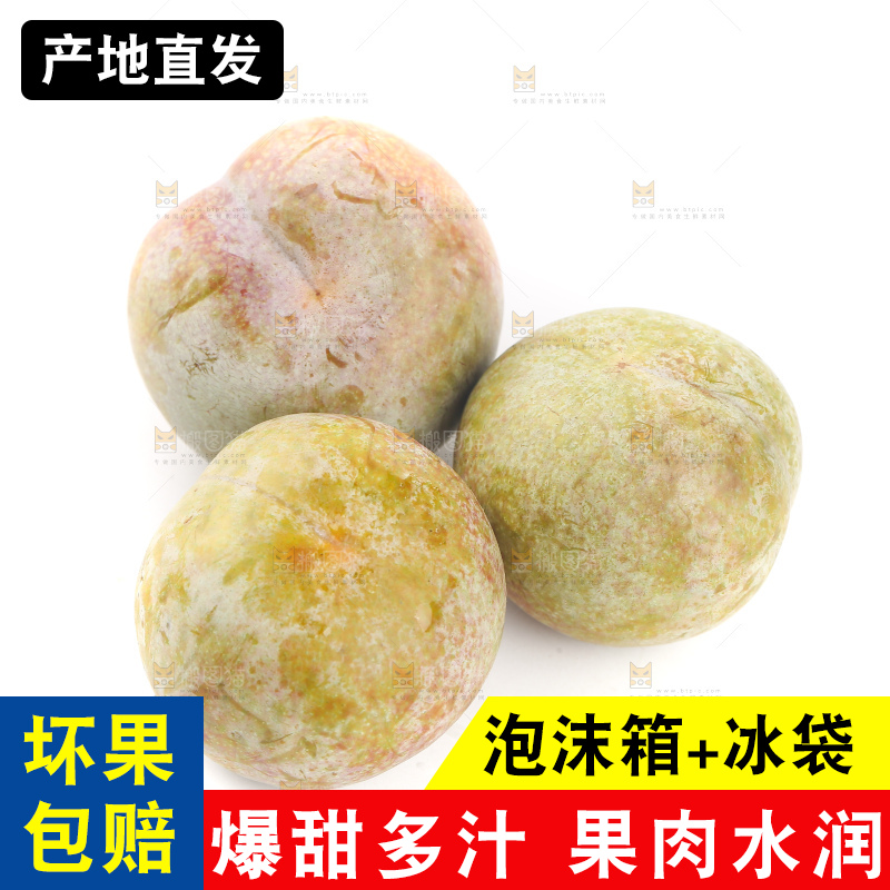 白底上的芙蓉李