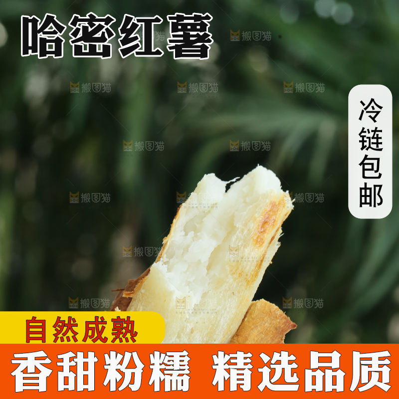 手里拿着白心冰糖薯